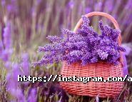 Амелі, салон краси фото