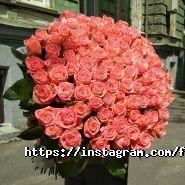 Flower Avenue, квітковий магазин фото