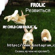 Evolution English Club, навчальний центр фото