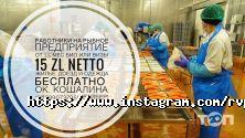 Rvgroup, кадровое агентство фото