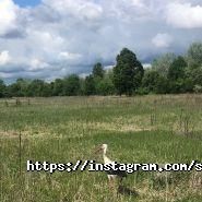 Нова адреса, агентство нерухомості фото