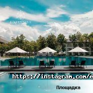 Exclusive, компания по организации мероприятий на выезде фото