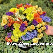 Ditsan Flowers, оптово-роздрібна квіткова база фото