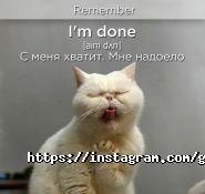 Global mind, языковая школа фото