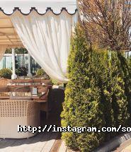 Sonata, готельно-ресторанний комплекс фото