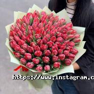 Фрезія, салон квітів фото