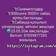 Elshat english education, центр фото