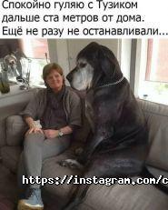 Cat House, кав'ярня фото