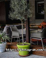 Canvas outdoor furniture, салон-магазин меблів фото