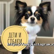 Белвет, ветаптека, зоомагазин и магазин семян фото