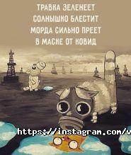 Ветеринарний будиночок, ветклініка фото