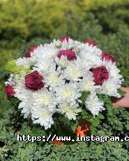 Ditsan Flowers, оптово-роздрібна квіткова база фото