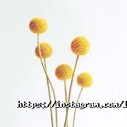 Lak Nails Bar, нігтьова студія фото