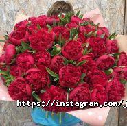 Jamilya flowers, цветочный салон фото