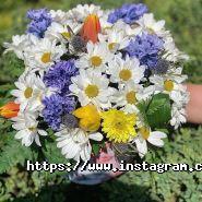 Ditsan Flowers, оптово-роздрібна квіткова база фото