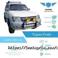 Q4 Tulpar, автосалон фото