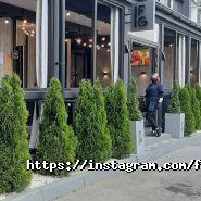 Фактор голоду, ресторан фото