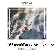 TEMPUR, торговая компания фото