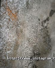 Elf decor, сеть магазинов фото