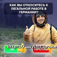 Nikoloz-job, працевлаштування за кордоном фото