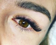 ВіЛес, навчальна студія фото