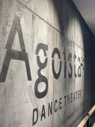 Agoista, театр танцю фото