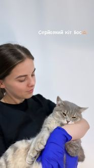 ЗооПоліс, ветеринарний центр фото