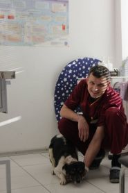 Vip хвіст, ветеринарна клініка фото