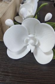 Все для кондитера та випічки фото