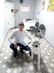 Ветсвіт, ветеринарний кабінет фото
