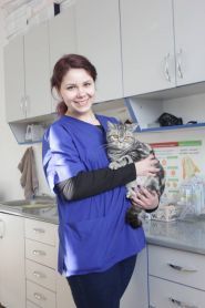 Vip хвіст, ветеринарна клініка фото