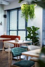 Baby Town, дитячий ігровий простір і сімейний ресторан фото