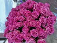 N&L Flower Shop, квітковий магазин фото