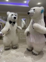 Лаванда, ресторан фото