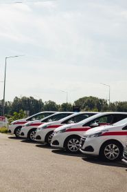 Driver, автошкола фото
