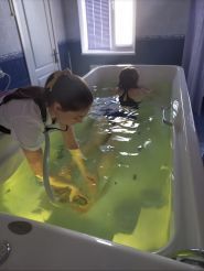 POSTAVA, центр реабілітації хребта та суглобів фото