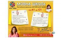 Big Tree, мовна школа фото
