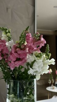 SiluetStudiya, студия массажа фото