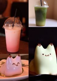 Котейня Муркіт, кав'ярня фото