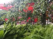 Фортеця Мрій, кафе фото