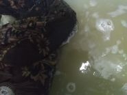Круглосуточная химчистка на Ольжича фото