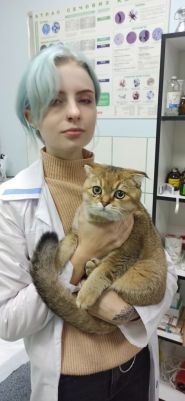 Зоодоктор, ветеринарна клініка Зоодоктор, ветеринарна клініка фото