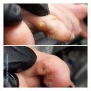 Sade, кабінет подології і краси фото