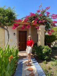 Дельфін, туристичне агентство фото