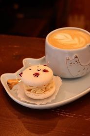 Котейня Муркіт, кав'ярня фото