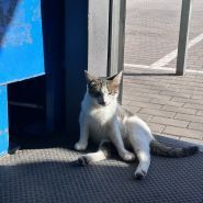 Шиномонтаж на Вокзальной 129 фото