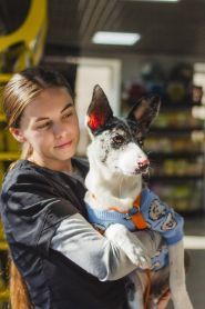 ЗооПоліс, ветеринарний центр фото