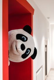 Smart Panda, школа английского и китайского языков фото