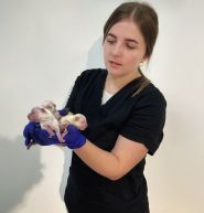 ЗооПоліс, ветеринарний центр фото