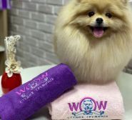 Wow, грумінг-салон фото